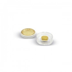 CONCHIGLIA D' ORO